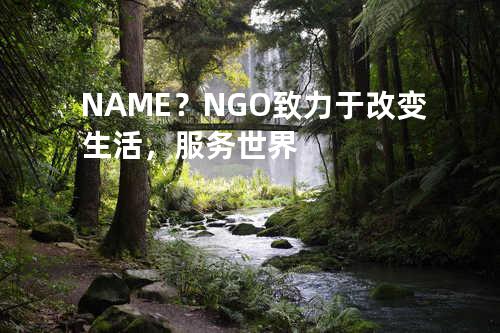 NAME？NGO致力于改变生活，服务世界