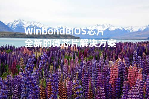 Winbond BIOS芯片- 全新的微芯片解决方案
