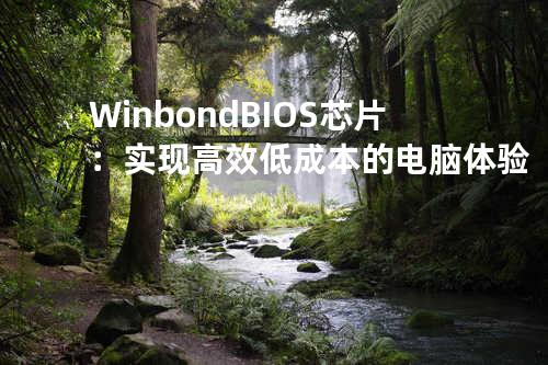 Winbond BIOS芯片：实现高效低成本的电脑体验