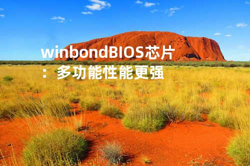 winbond BIOS 芯片：多功能性能更强