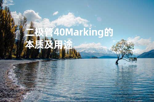 二极管40 Marking的本质及用途
