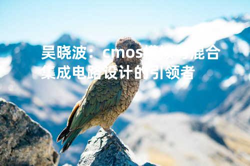 吴晓波：cmos模拟与混合集成电路设计的引领者