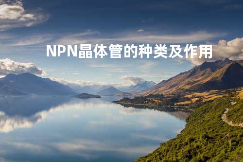 NPN晶体管的种类及作用