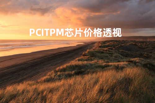 PCI TPM芯片价格透视