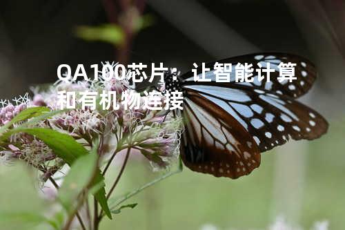 QA100芯片：让智能计算和有机物连接